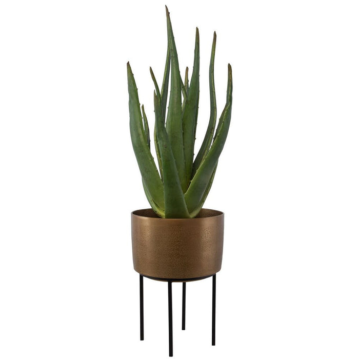 Arabia Aloe Planter, 2 CARTONS