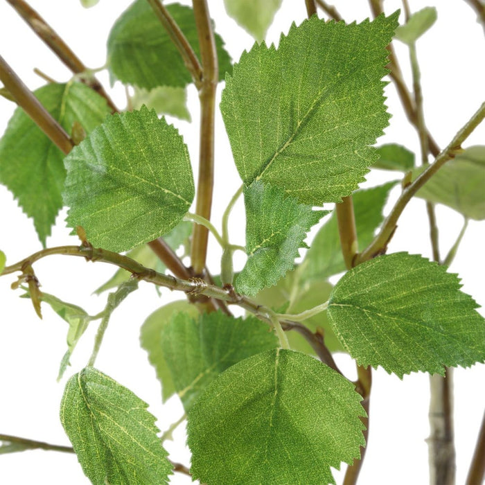 Nigra Birch Centerpiece