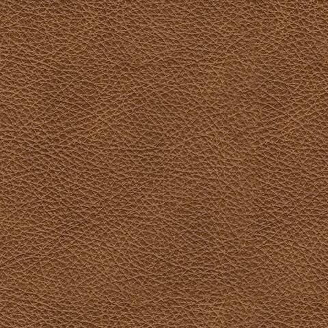 Carianna Queen Sofa Sleeper